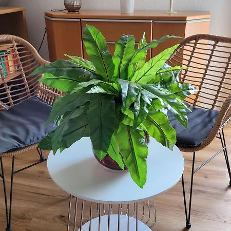 Apartment Sehring Oelde Kültér fotó